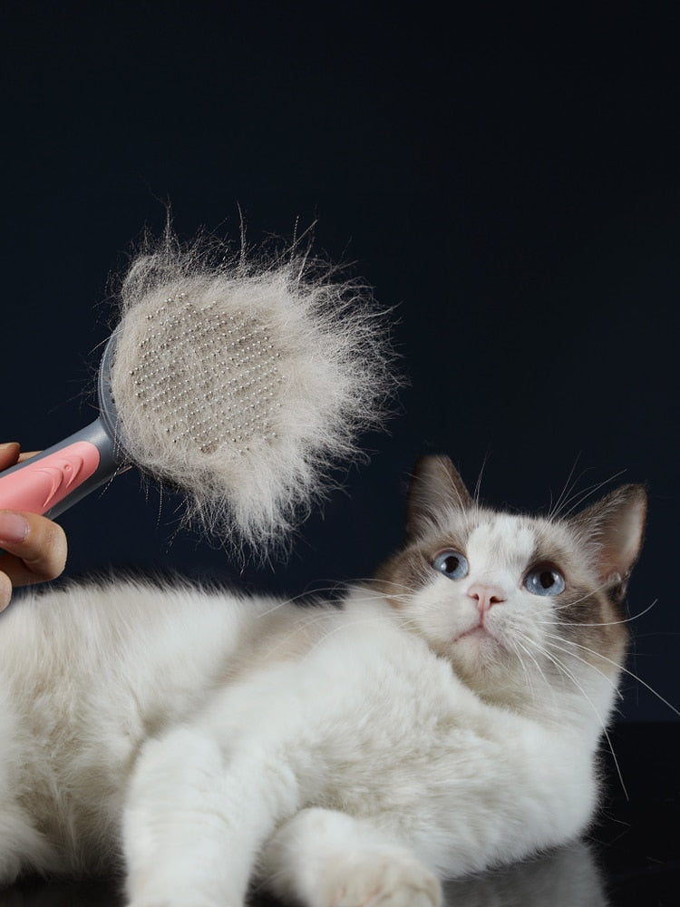 Escova removedora de pêlos de cães e gatos